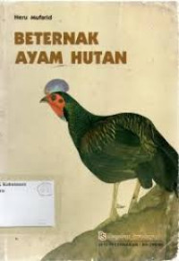 Image of beternak ayam hutan