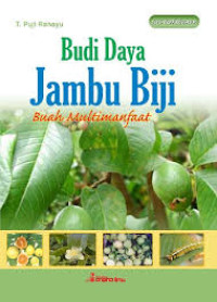 Image of BUDI DAYA JAMBU BIJI BUAH MULTI MANFAAT