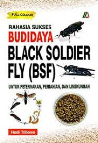 Image of RAHASIA SUKSES BLACK SOLDIER FLY (BSF)